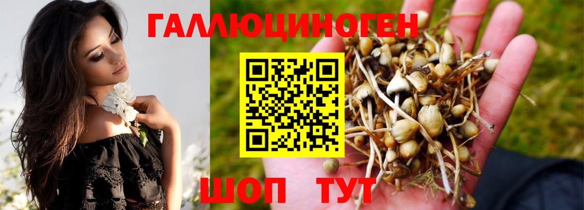 Псилоцибиновые грибы Cubensis Глазов